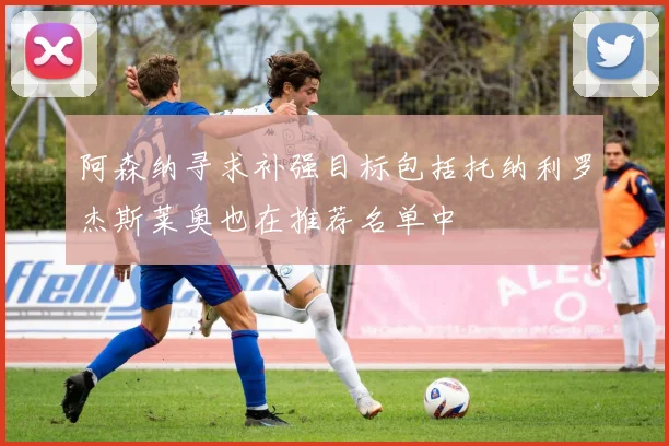 阿森纳寻求补强目标包括托纳利罗杰斯莱奥也在推荐名单中