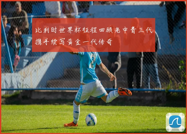 比利时世界杯征程回顾老中青三代携手续写黄金一代传奇